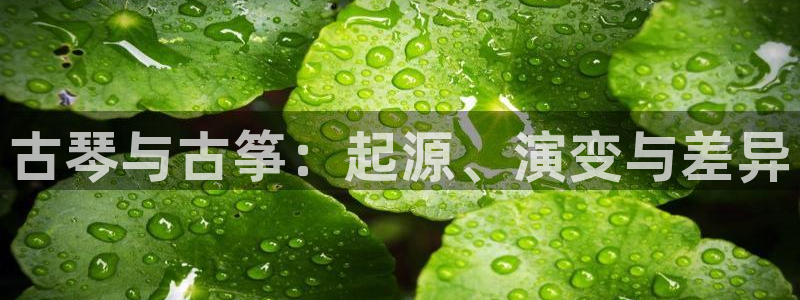 凯发k8娱乐官网最新版本
