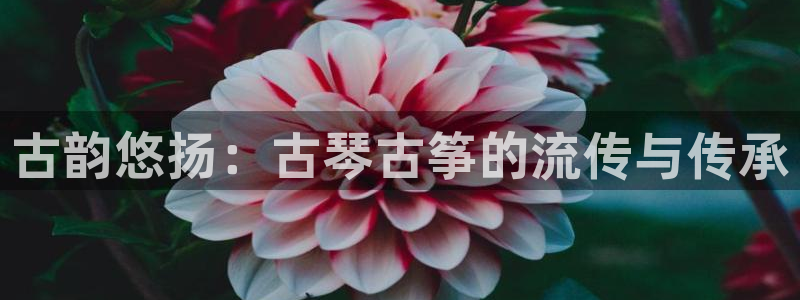 凯发旗舰厅网站