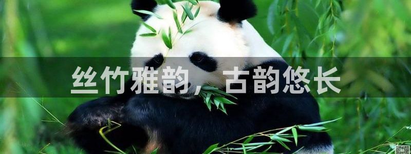 凯发k8娱乐是哪个国家的