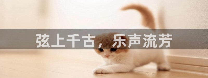 凯发k8国际 不能提款了