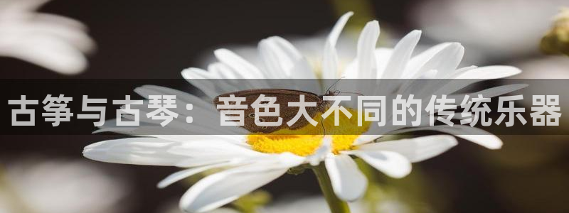 凯发线上官方网站下载网址