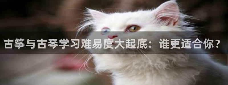 凯发k8娱乐倒闭了吗