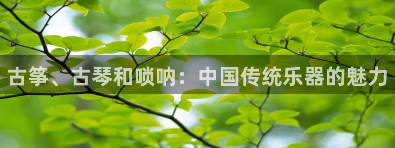 凯发手机官网