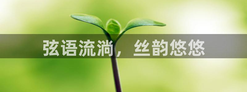 凯发k8娱乐是哪个国家的