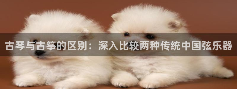 凯发娱乐k8下载