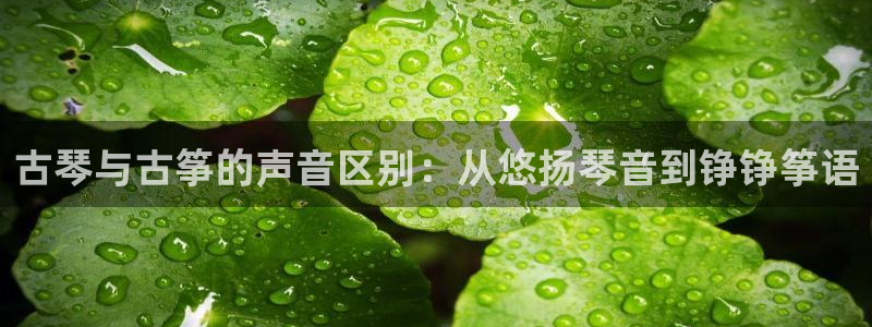 凯发旗舰厅