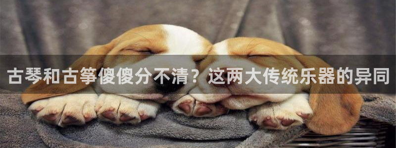 凯发线上官方网站下载网址