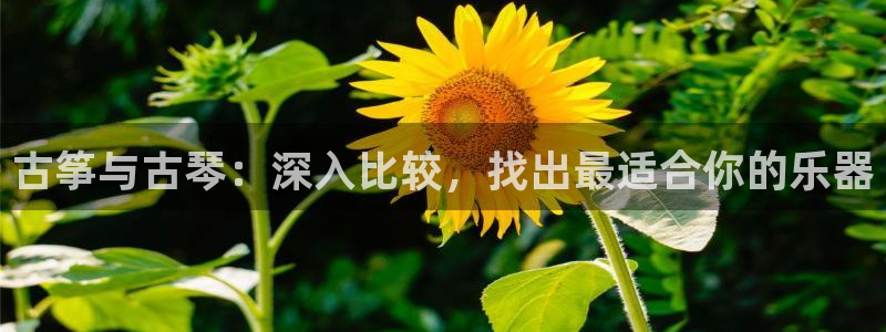 凯发手机官网