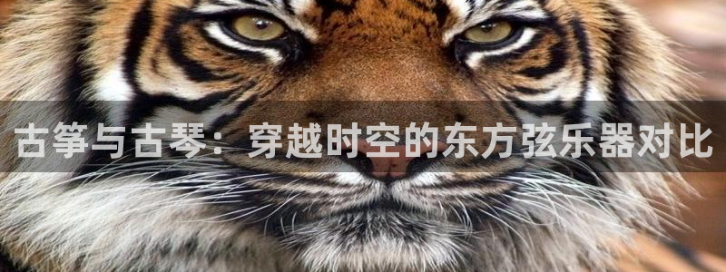 凯发唯一官方网站