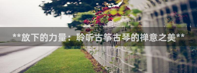 凯发网官网