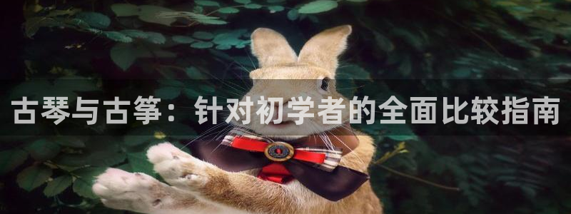 凯发k873