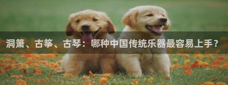凯发旗舰厅