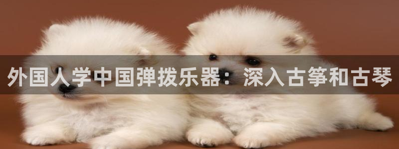凯发国际是什么