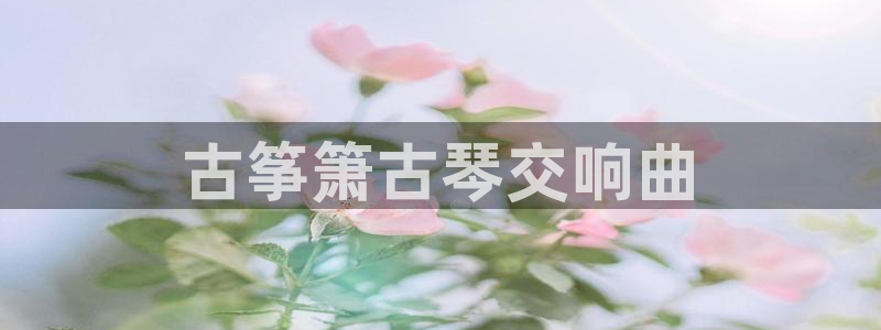 凯发娱网址是什么