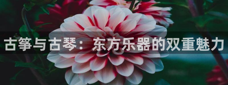 凯发官方:访问凯发.网站