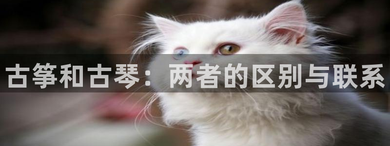 凯发在线官网登录下载