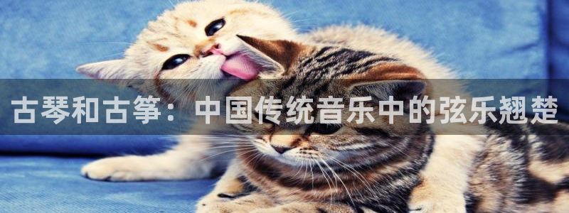 凯发k8娱乐|k808.vip