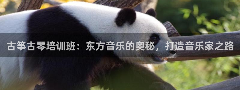 凯发k8旗舰厅手机app下载