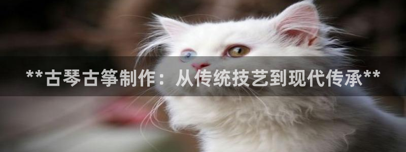 凯发网站是多少