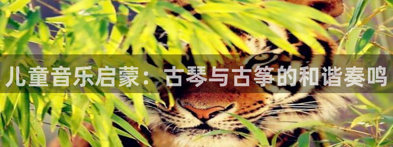 凯发手机官网客户端