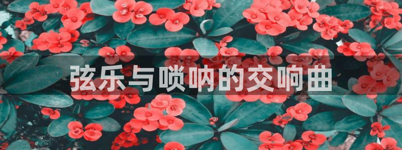 凯发k8娱乐欢迎您