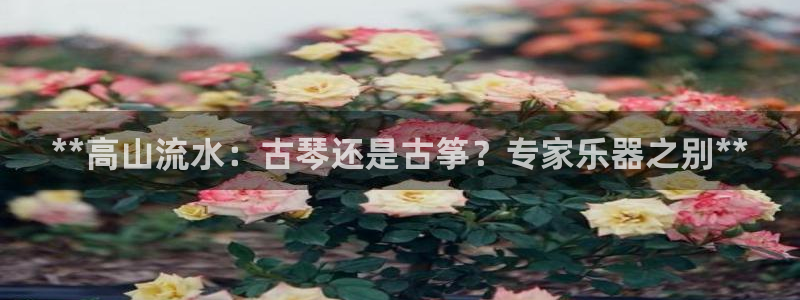 凯发旗舰