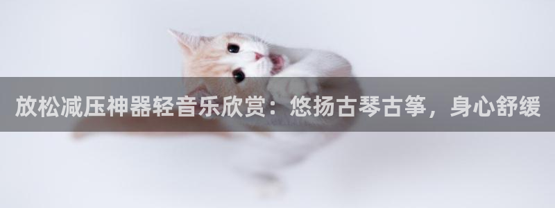 凯发娱网址是什么