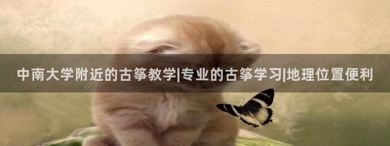 凯发k8官方