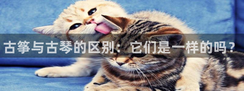 凯发官方网站是多少