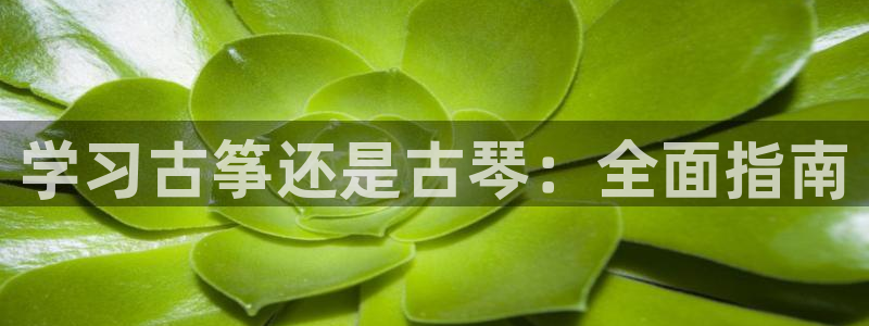 凯发k8娱乐欢迎您