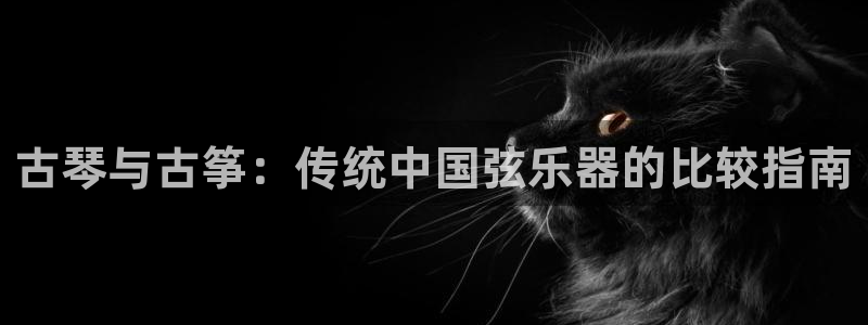凯发平台风采
