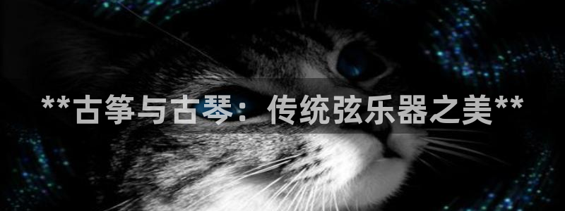 凯发国际是什么