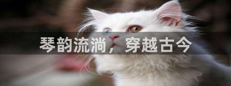 凯发k8手机是正品吗