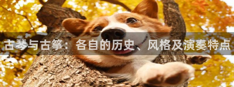 k8凯发国际首页