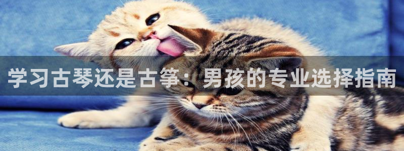 凯发k8娱乐平台网址