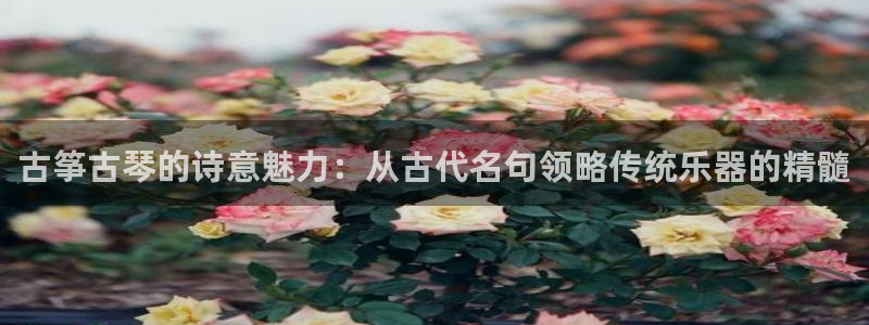 凯发k8旗舰店：古筝古琴的诗意魅力：从古代名句领略传统乐器的
