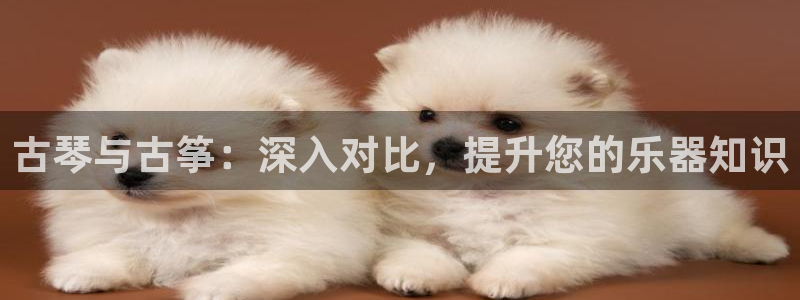 凯发app是干嘛的