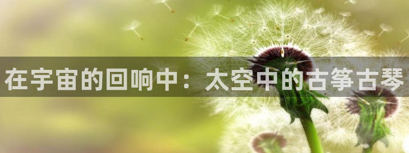 凯发平台风采