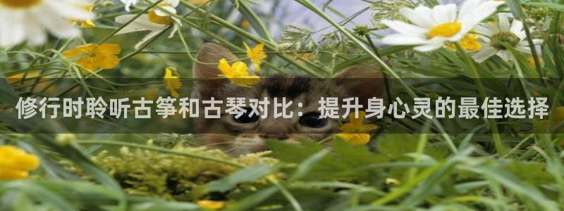 凯发k8国际真人娱乐旗舰厅