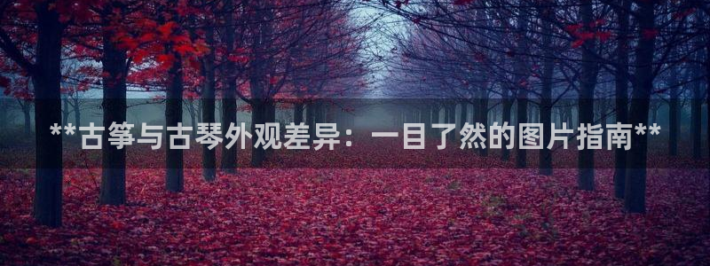 凯发k8是真是假
