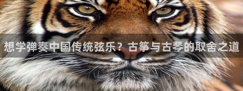凯发k8娱乐现在还有吗