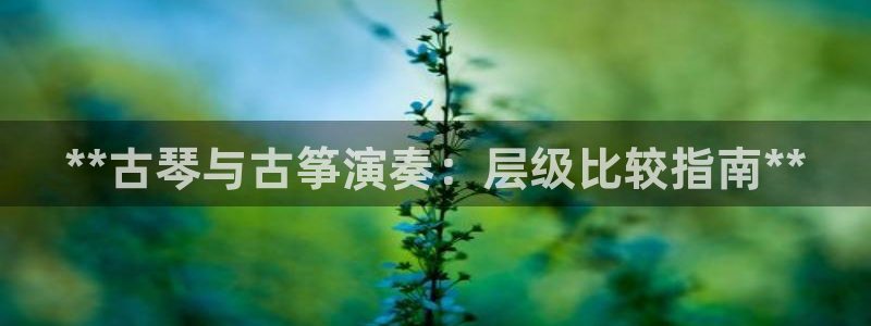 凯发国际真人