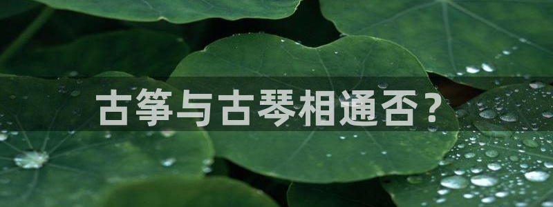 凯发app可信吗