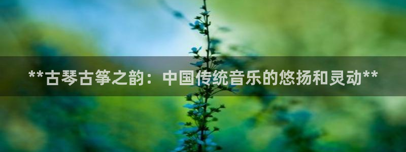 凯发网址多少