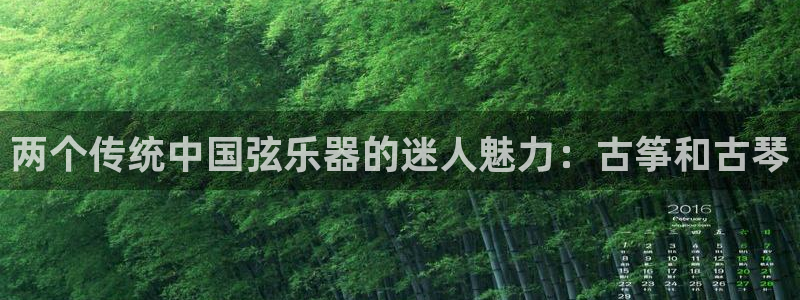 凯发app地址：两个传统中国弦乐器的迷人魅力：古筝和古琴