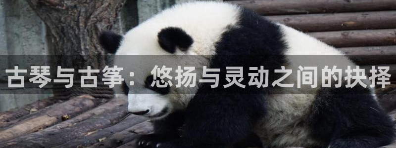 凯发k8娱乐官网手机端中心