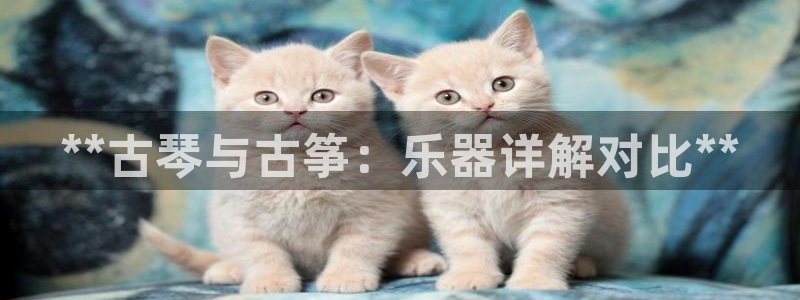 凯发k8官方网娱乐官方真