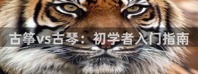 凯发app可信吗