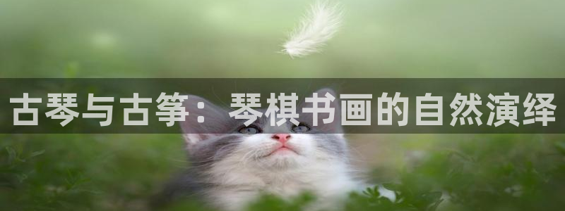 k8凯发官方找就送38