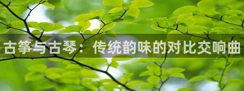 凯发k8娱乐是什么平台
